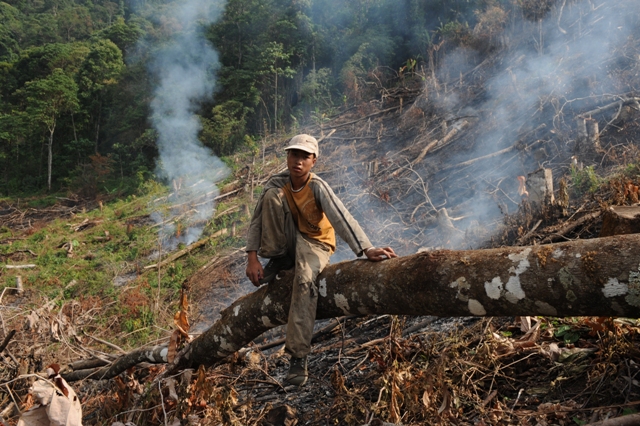 Deforestation in China