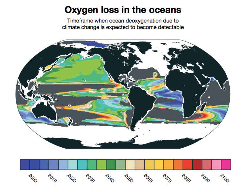 Deoxgenation due to climate change is already detectable in some parts of the ocean. New research from NCAR finds that it will likely become widespread between 2030 and 2040. Other parts of the ocean, shown in gray, will not have detectable loss of oxygen due to climate change even by 2100.  Image credit: Matthew Long, NCAR