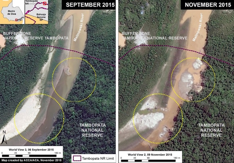 Tambopata National Reserve, an important protected area in the southern Peruvian Amazon in Madre de Dios. “One can clearly see the beginning of the illegal gold mining activity and deforestation within the reserve between September (left panel) and November (right panel) 2015,” MAAP says. Photo credit: Monitoring the Andean Amazon Project (MAAP)