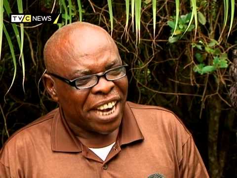 TV Report: Ebola and bush meat consumption