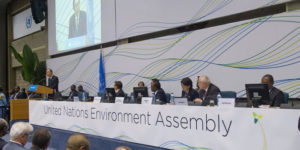 Formal opening of the second session of the United Nations Environment Assembly (UNEA-2) 