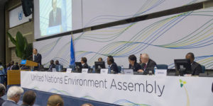 Formal opening of the second session of the United Nations Environment Assembly (UNEA-2)