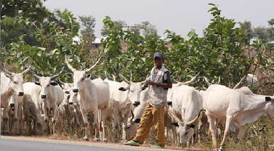 Fulani herdsmen