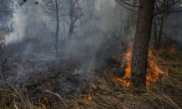 Forest fire in Indonesia