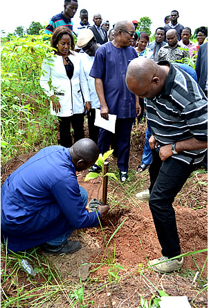 Tree planting with the Vice Chancellor, Professor Chinedum Nwajiuba