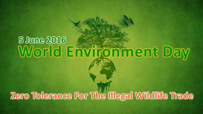 CEGDEC commemorates World Environment Day 2016