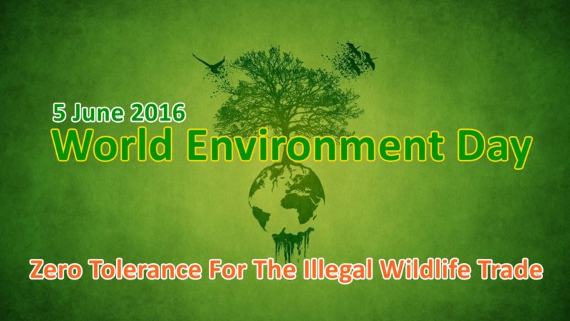 World-Environment-day-2016-Theme