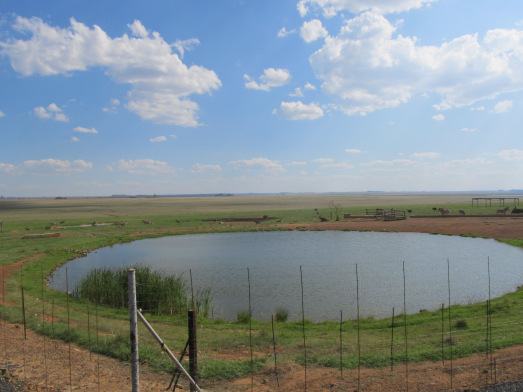 The World Health Organisation specifies 50 liters of water per person per day as the recommended ‘intermediate’ quantity needed to maintain health, hygiene and for all domestic uses