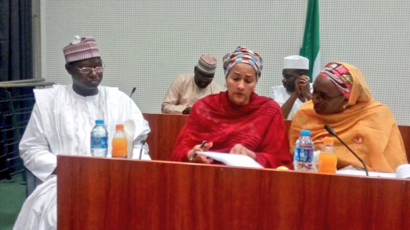 Ibrahim Usman Jibril (Environment Minister of State) (left) with Amina J. Mohammed (Minister of Environment (middle) and a ministry official