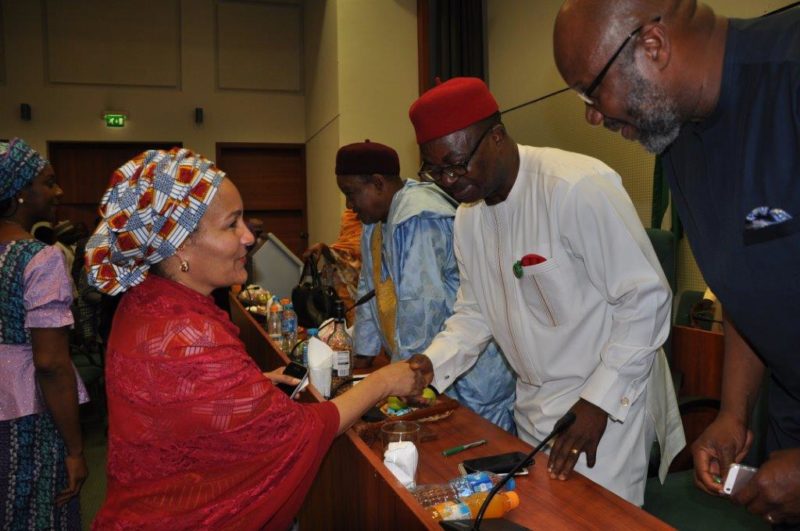 Amina J. Mohammed (Environment Minister) (left) with Sam Onuigbo (Chairman, House Committee on Climate Change)