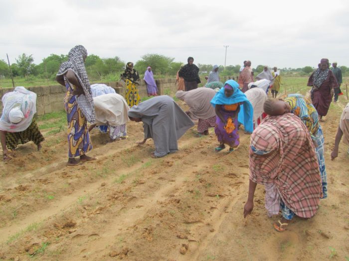 Female smallholder farmers