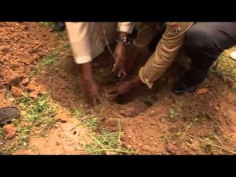 Video: Afforestation and communities