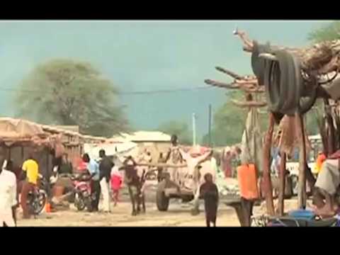 Video: Nigeria reclaims desert in 11 states