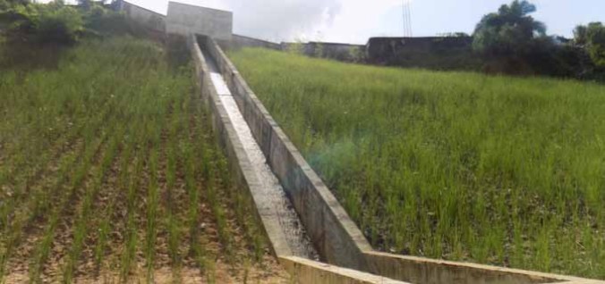 Reclaimed gully site at the back of Union Bank in Atakpa Bay Side, Cross River State