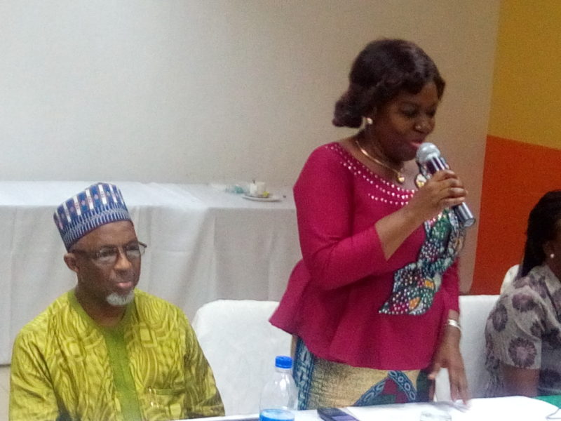 Cross River State Commissioner for Climate Change and Forestry, Dr Alice Olok Ekwu (standing), with the FAO Representative on REDD+, Dr Rabe Mani, during the workshop