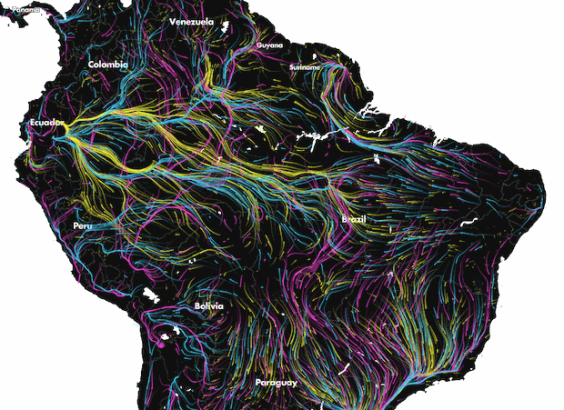 Animal migration in South America. Pink colour for mammals, blue for birds, and yellow for amphibians. Credit: Dan Majka/Migrations in Motion