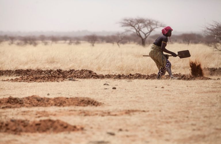 Expert urges adoption of measures to curb land degradation