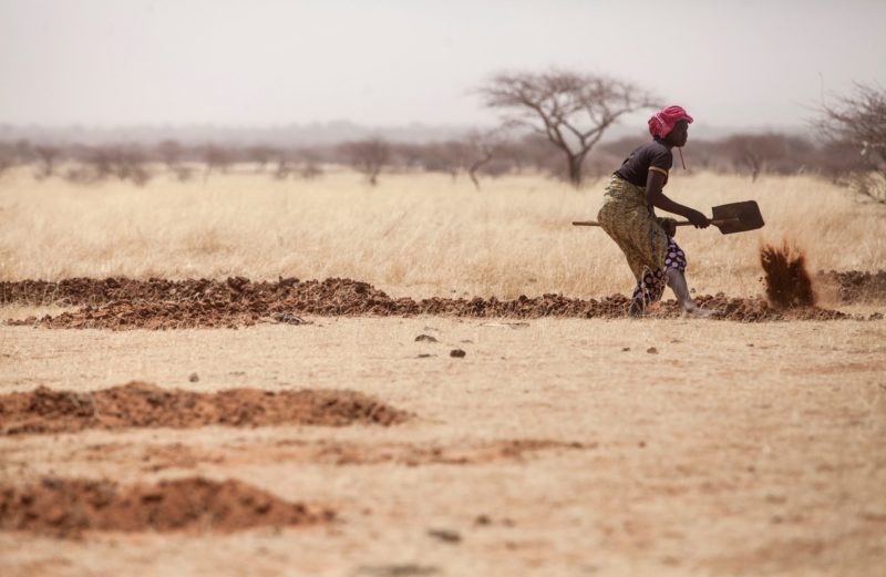 But recent successes show that land degradation is not yet irreversible.
