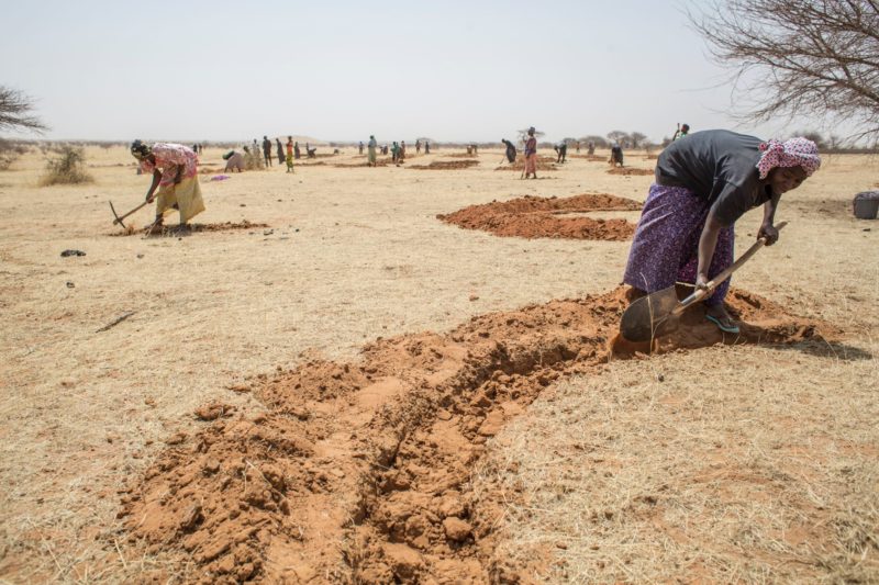 The UN's Food and Agriculture Organization has joined the initiative and is engaged in land restoration across the Sahel.