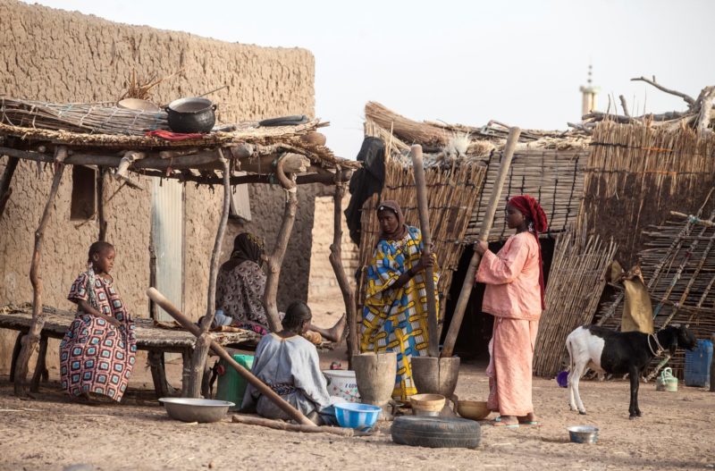 Plants are essential for rural communities – trees, shrubs and grasses provide everything, from food to fodder and from medicine to construction material.