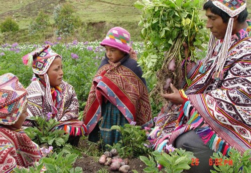 Farmers in Peru. Photo credit: International Institute for Environment and Development
