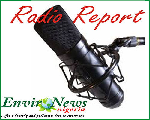 Radio report: BOI to provide financial support to youths