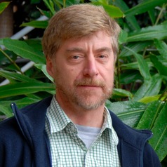 Douglas Sheil of the Norwegian University of Life Science. Sheil and fellow scientists reviewed over 400 Landsat satellite images of Borneo between 1973 and 2015 to track forest loss and degradation and the concomitant expansion of plantations.