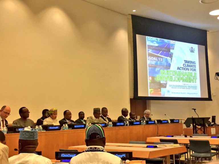 Nigeria will reverse effects of climate change, says Buhari