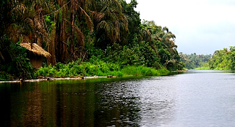 The River Ethiope in Delta State. Nigeria is said to be one of the countries in the world with the worst rivers degradation conditions