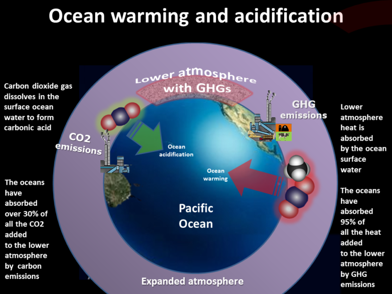 The World Ocean is by far the largest part of the climate system. Oceans hold 80% of all life. According to the IUCN, ocean warming is affecting humans in direct ways and the impacts are already being felt. Photo credit: www.climateemergencyinstitute.com