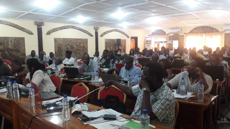Participants at the workshop, where concerns were raised over the prospects of Africa's forests