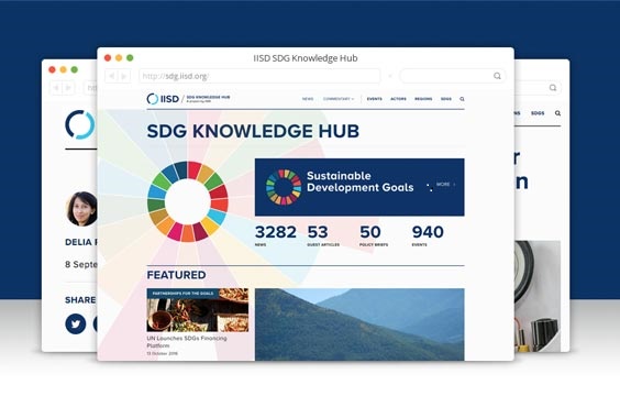 Screen shot of the IISD knowledge hub