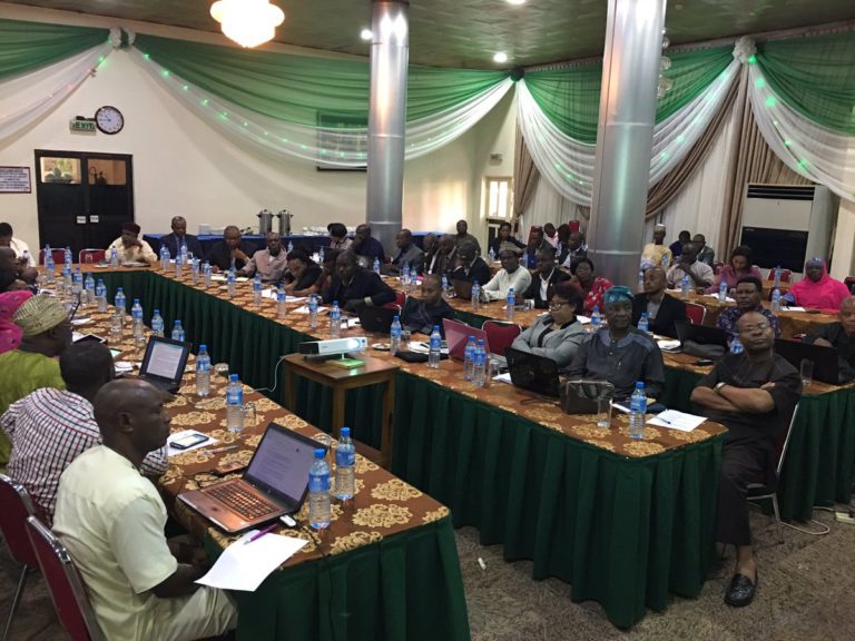 Sub-sectoral guidelines for merger, as Nigeria reviews environment policy