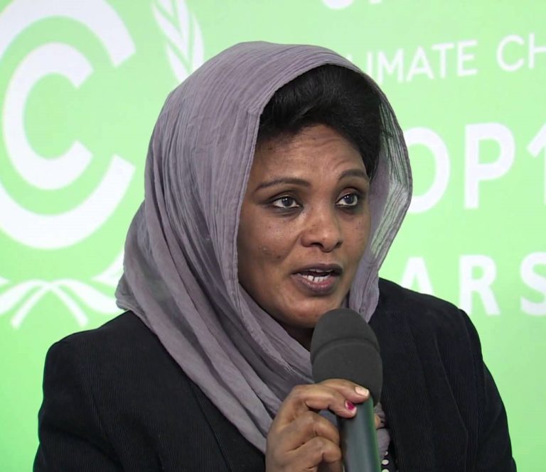 Africa urged to avoid being caught in ‘capacity building syndrome’