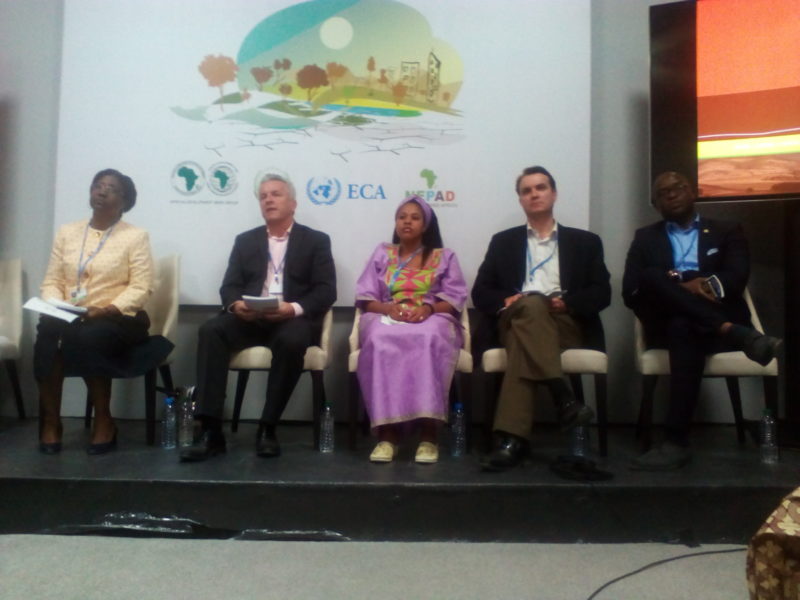 landscaping From Left to Right: Estherine Fotabong (NEPAD Agency), Dr Simon Tony (Director General, World Agroforestry Centre and honorary Professor of Tropical Forestry, Faculty of Science, University of Copenhagen, Demark), Rudo Makunike (Senior Programme Officer NEPAD TerrAfrica), Craig Hanson (Global Director for Food, Forests and Water) and Elvis Tangen (AUC, the Great Green Wall for the Sahara and Sahel)