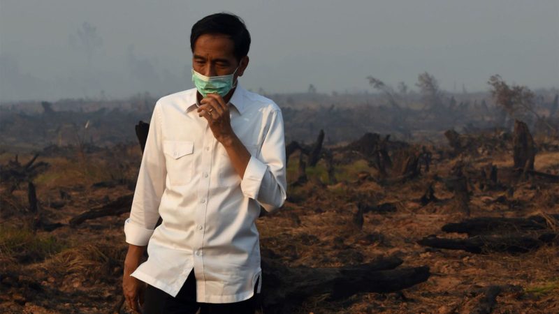 Indonesia's President Joko Widodo inspects a peatland clearing that was engulfed by fire on Borneo island