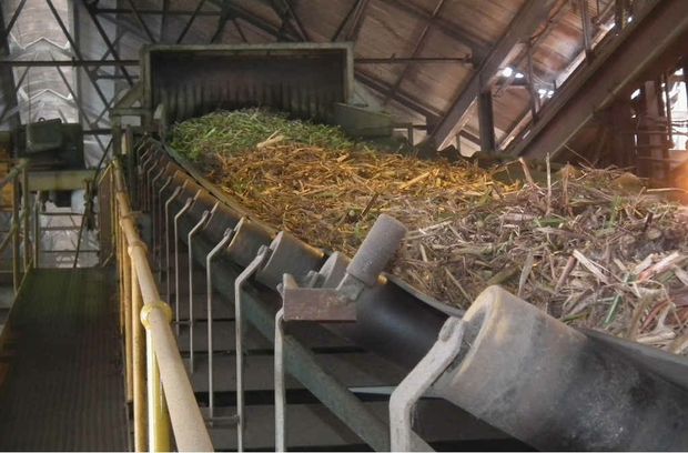 A sugar production plant
