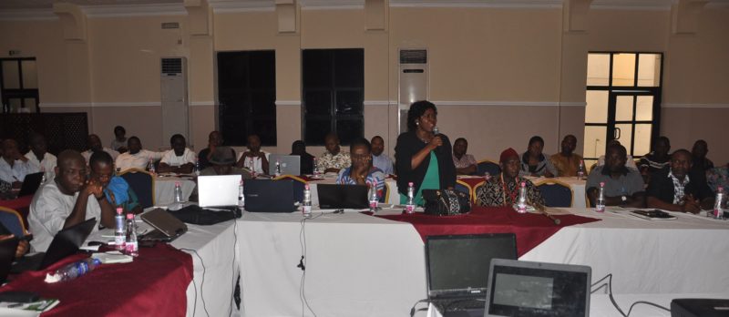 Dr Alice Ekwu, Cross River State Commissioner of Climate Change & Forestry, making a presentation during the CRS REDD+ Stakeholder Forum on Tuesday, 29 November 2016. in Calabar
