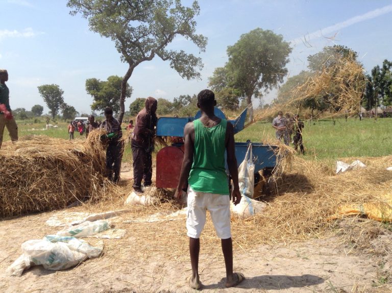 Benue expresses interest in IFAD programme