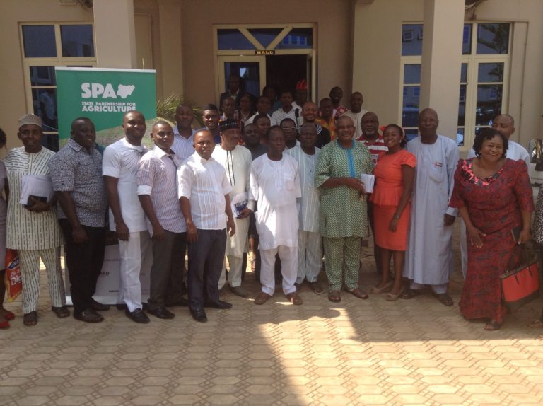 Agric experts list benefits of cassava peel