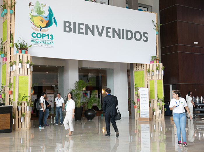 The technical document was launched during the Forest and Agriculture Day at the Rio Conventions Pavilion
