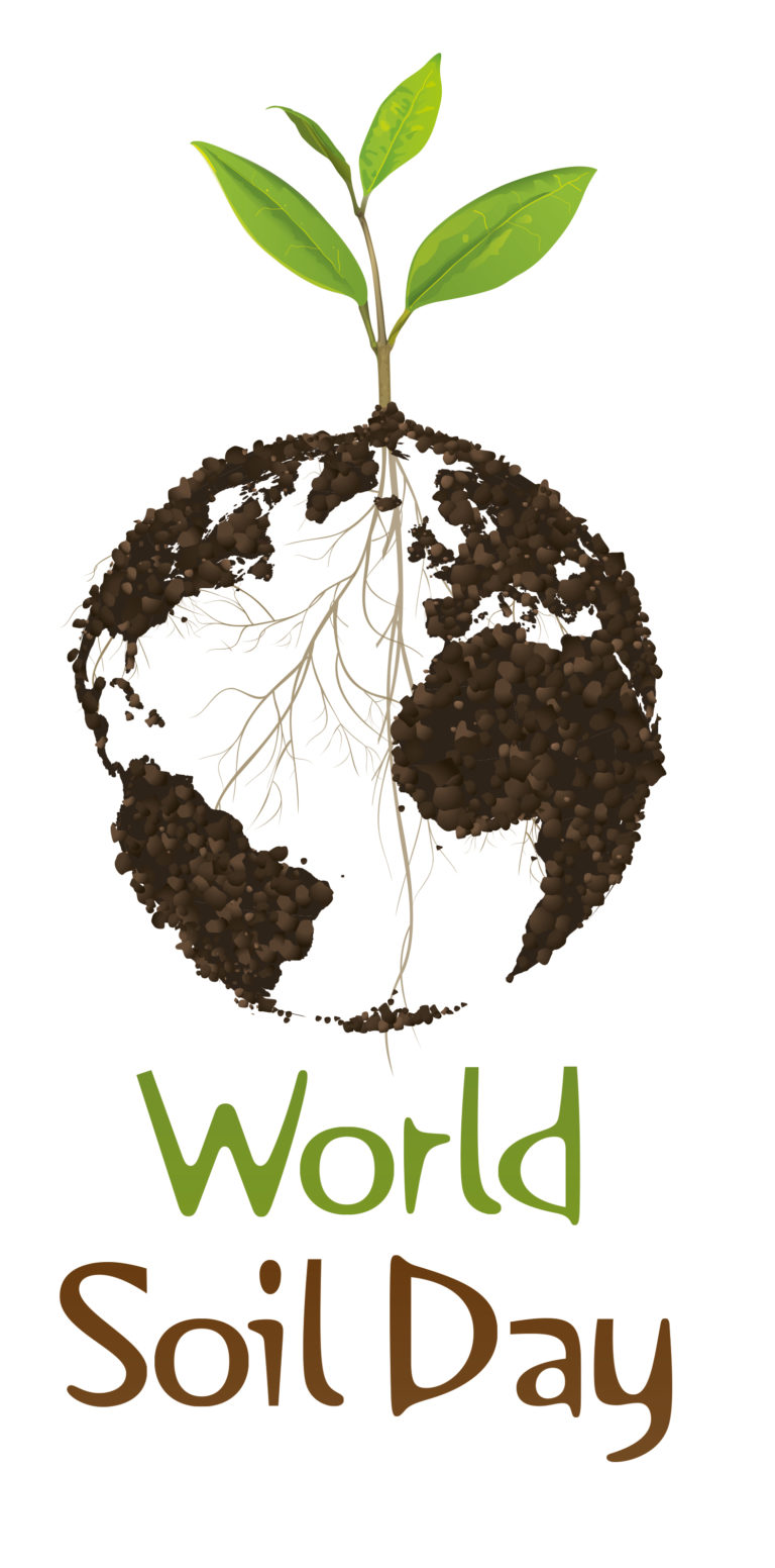 World Soil Day: Healthy soils critical for climate action – Ban Ki-moon