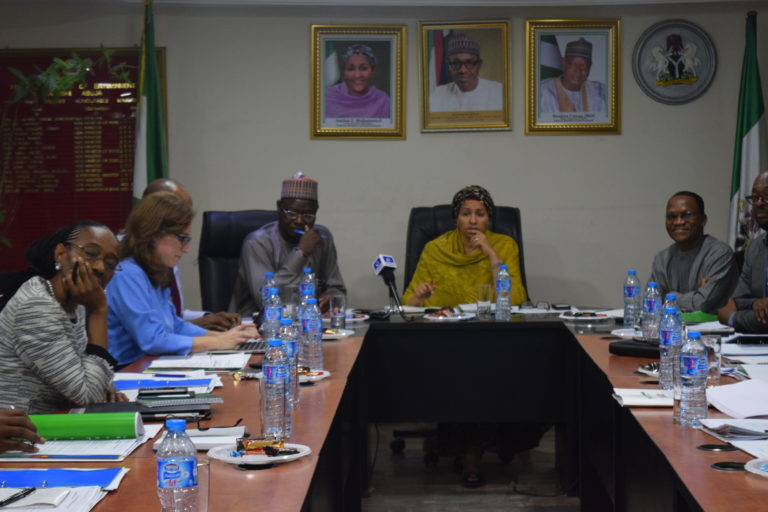 Green bond: Ministers host advisory group parley