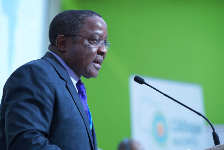 African countries not dependent on donor support for climate adaptation – Study