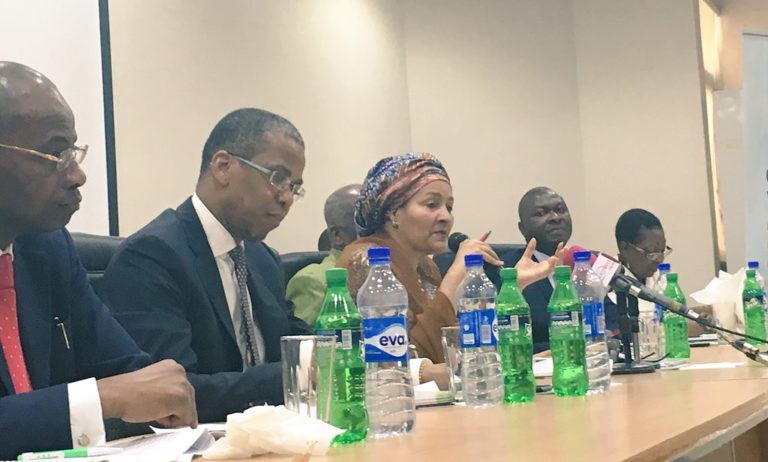 Images: Amina Mohammed speaks on vultures’ decline at NCF lecture