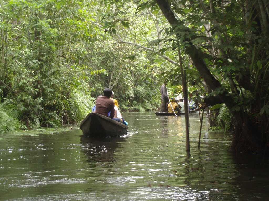 Omo-Forest-Reserve