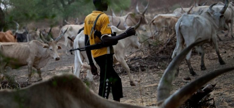 How Fulani herdsmen invade farms, wreak havoc in Rivers communities
