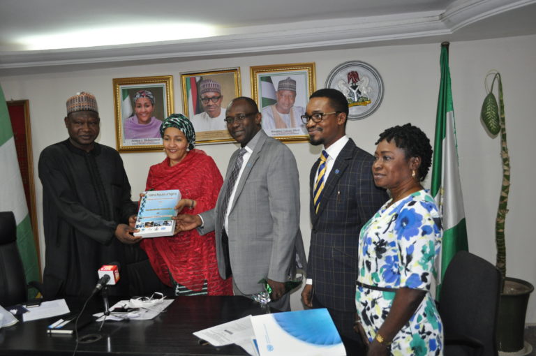 Government receives hazardous chemicals’ elimination plan from UNIDO