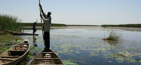 Nguru-Hadejia-Wetlands