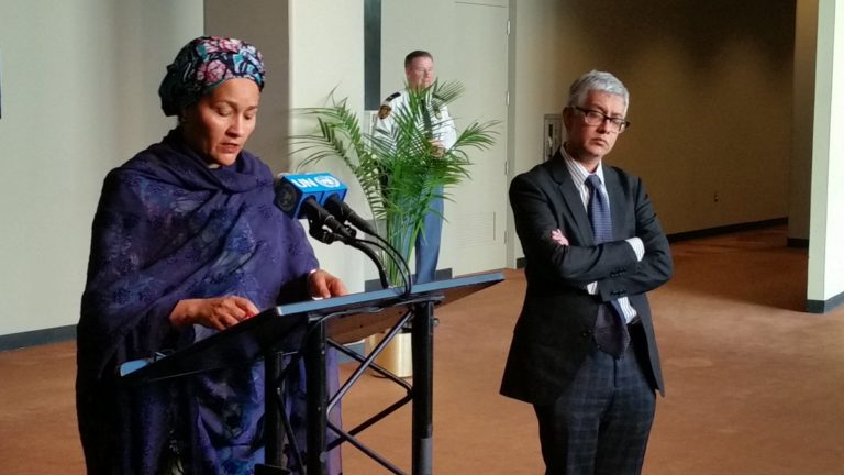 I’ll reposition sustainable development to achieve universal peace, says Amina Mohammed